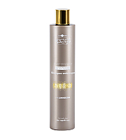 Hair Company Inimitable Style Anti-frizz Shampoo - Шампунь разглаживающий рН5.5 250 мл